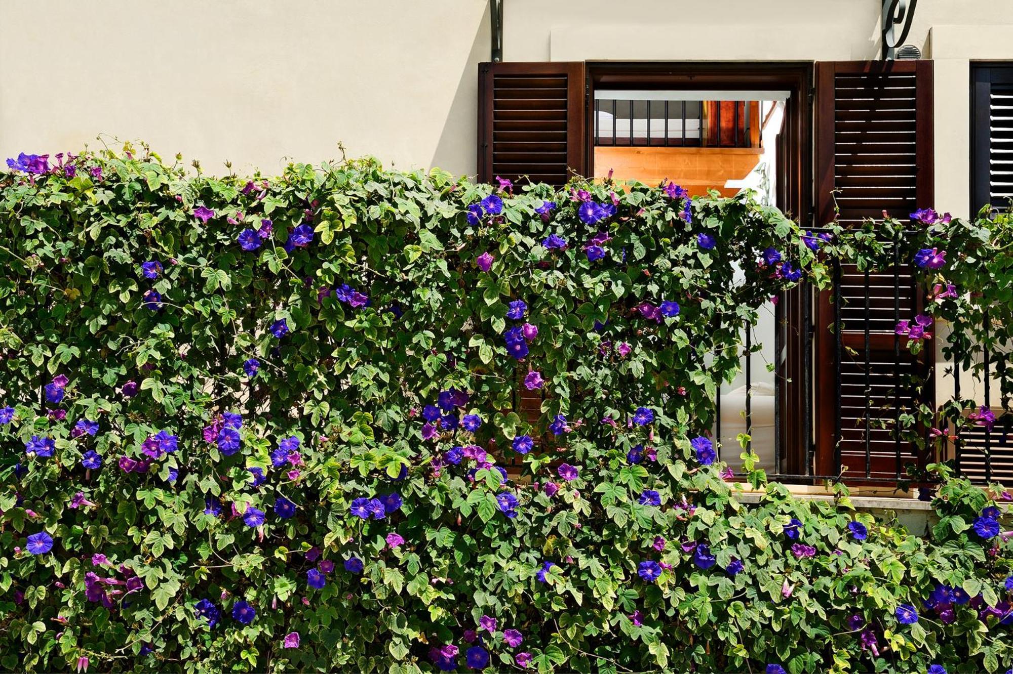Kallikoros Country Resort & Spa Noto Exterior foto